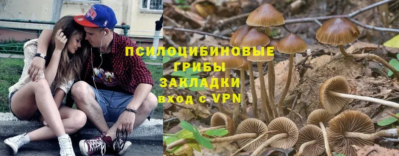 Галлюциногенные грибы MAGIC MUSHROOMS  Ступино 